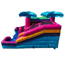 IMG 0644201 1775496564 Aloha Combo DRY/WET